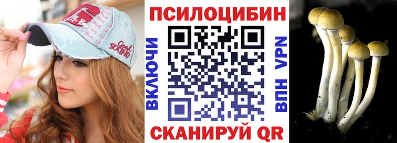 Купить  Суздаль  Псилоцибиновые грибы Magic Shrooms 