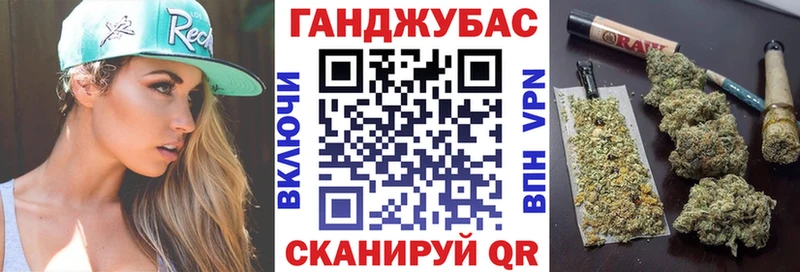 Купить закладки  Суздаль  Марихуана сатива 